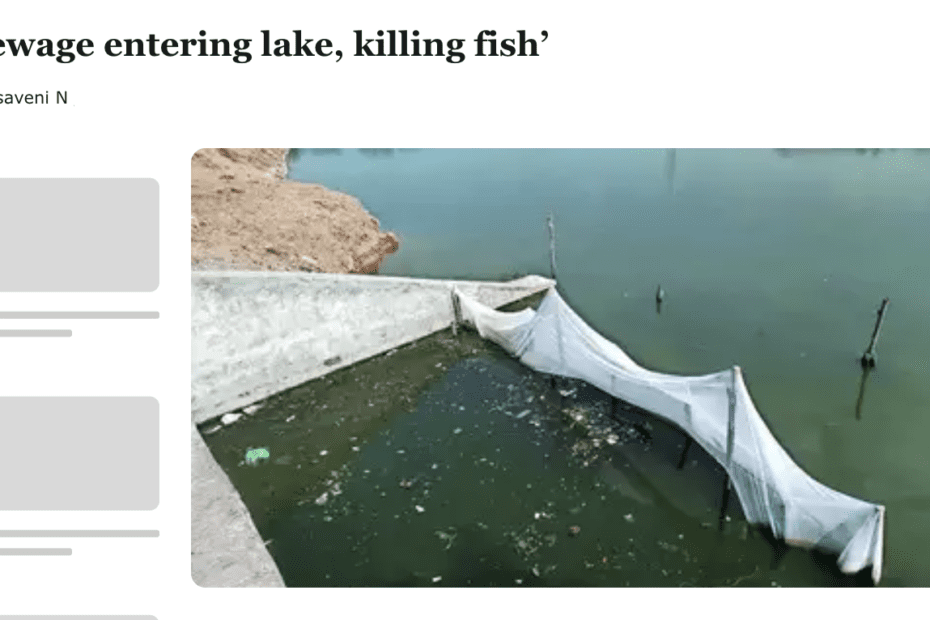 Sewage in Lake